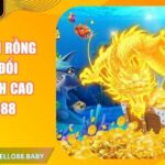 Cao Thủ Săn Rồng