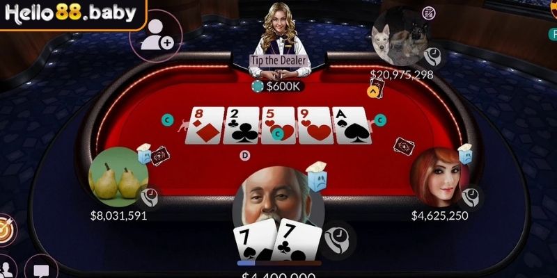 Biết lúc nào nên fold